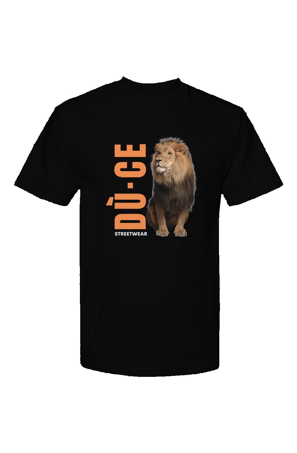 Classic Streetwear T Shirt_01