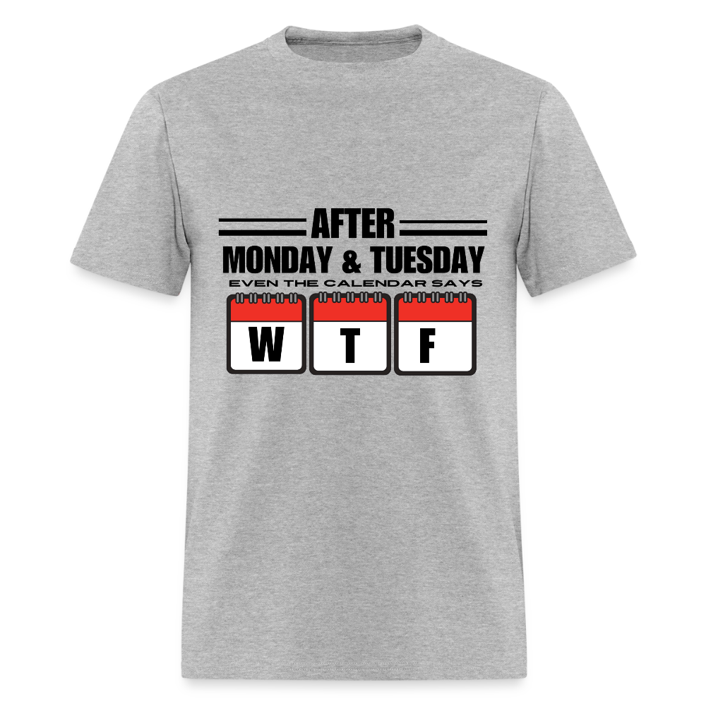 Unisex Classic T-Shirt - heather gray